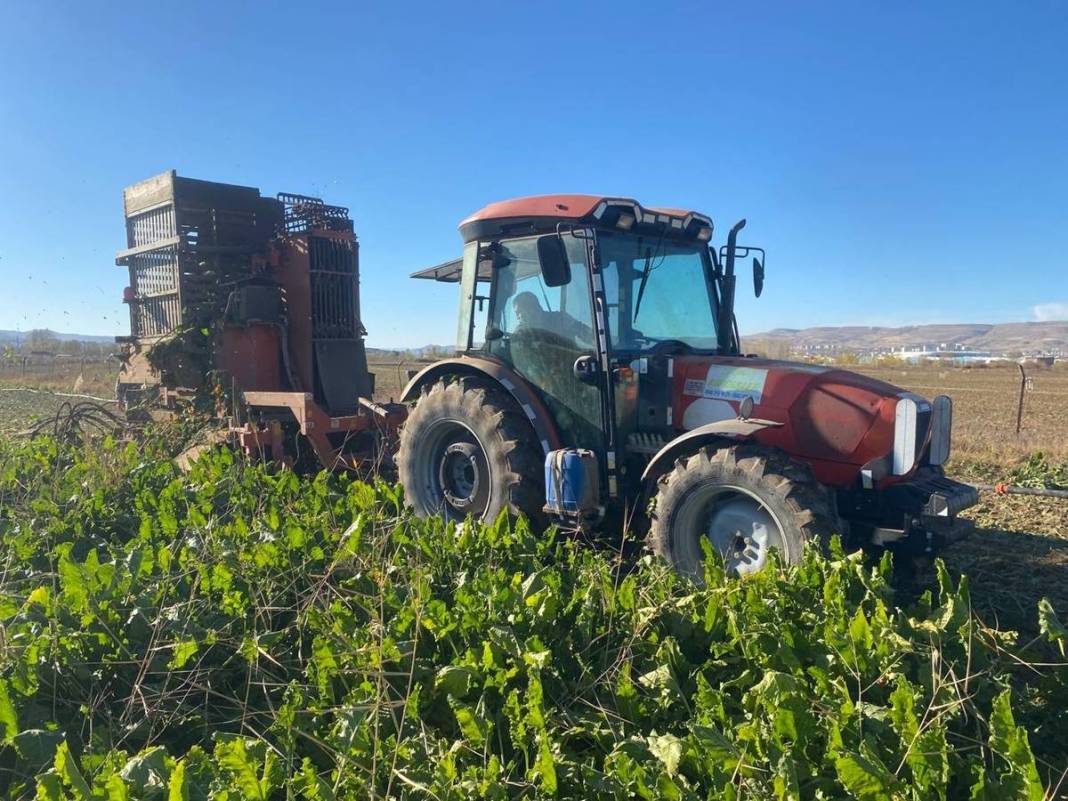 Tarlasına ektiği sebzelerin son halini görünce aklı durdu! Mutfak tüpüyle yan yana koyup kıyasladı, görüntüler şaşırttı 12